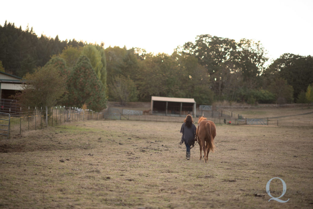 Horse Equestrian Photography Salem Oregon Photographer